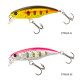 Τεχνητο TSURINOYA Fishing Lure DW69 Sinking Minnow Hard Bait 48S 48mm 3.3g Τεχνητο TSURINOYA Fishing Lure DW69 Sinking Minnow Hard Bait 48S 48mm 3.3g