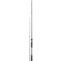 Καλάμι Ψαρέματος DAIWA LEGALIS TENYA 2.52M