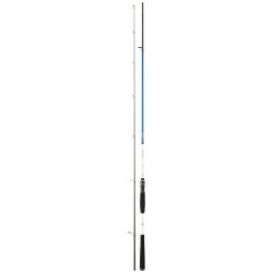 Καλάμι Ψαρέματος DAIWA SPITFIRE SEABASS 2024
