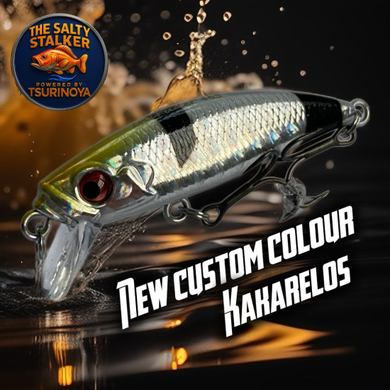 Τεχνητο TSURINOYA INTRUDER 46S 5gr Sinking Minnow