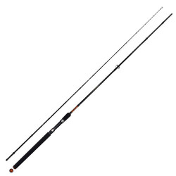Καλάμι Ψαρέματος Pregio Passion Ultra Light Shore Jigging