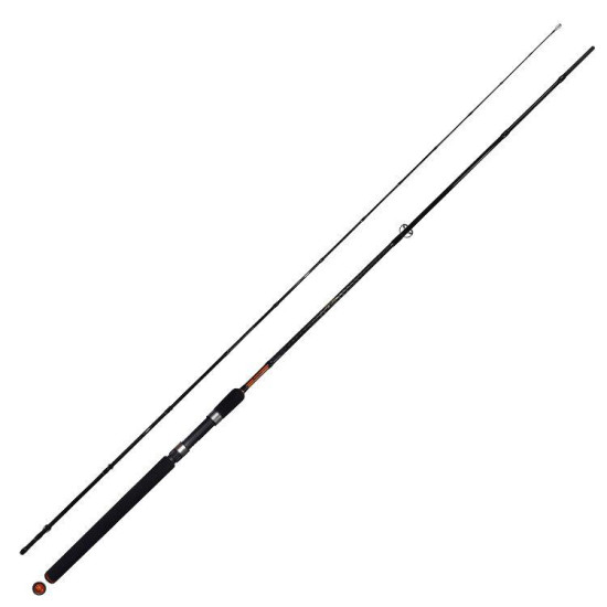 Καλάμι Ψαρέματος Pregio Passion Ultra Light Shore Jigging