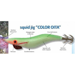 DTD COLOR OITA 3.0