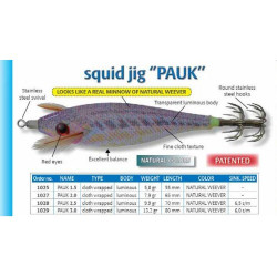 DTD PAUK 2.0