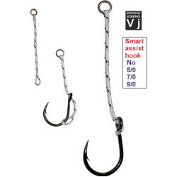 SMART ASSIST HOOK SMART ASSIST HOOK
