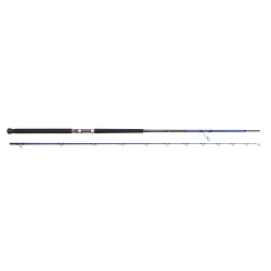 Καλάμια Savage Gear SGS6 SHORE JIGGING 3,05M